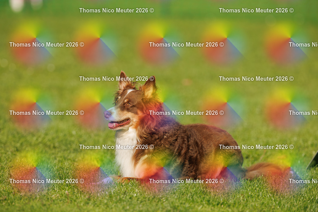 Thomas_Nico_Meuter(C)_04. Oktober 2026_223A3857 | Bild von Thomas Nico Meuter - Realisiert mit Pictrs.com