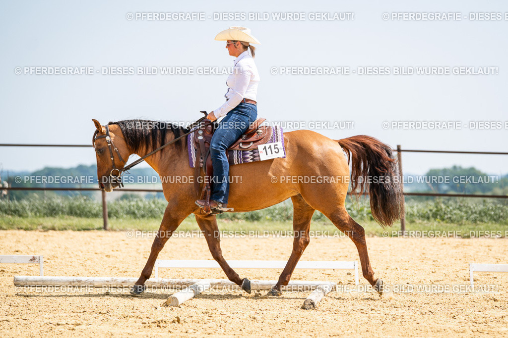 DSC00768 | Pferdegrafie