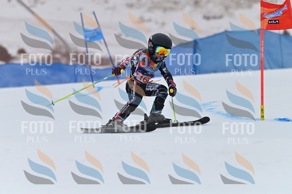 BGV_0375 | holidayphoto