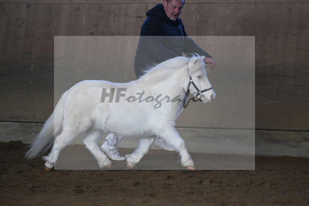 Kat-Nr. 14 Elmhorst Irish Cream v. Elmhorst Irish Coffee_Elmer_49250602 | hf-fotografie - Realisiert mit Pictrs.com