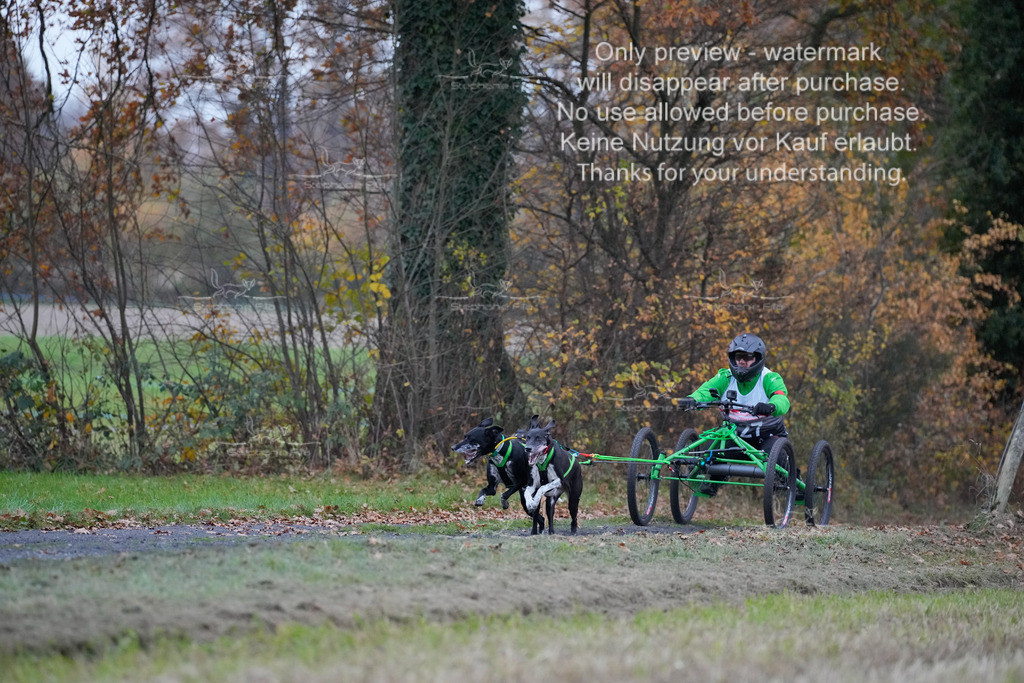 Visbeck_Sa_D4_6-16 | stephaniefillaphotographie - Realisiert mit Pictrs.com