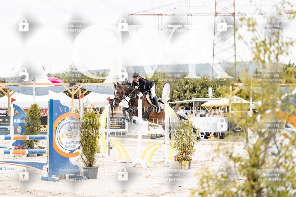 CK906432 | Turnierfotografie Pferdefotografie Trier Rheinland-Pfalz Pferdesport Reitsport Tierfotografie Sportfotografie Pferdevideo Pferdevideografie Equestrianvideography equestrianphotography  - Realisiert mit Pictrs.com