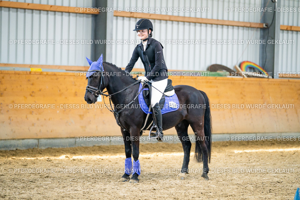 DSC01237 | Pferdegrafie