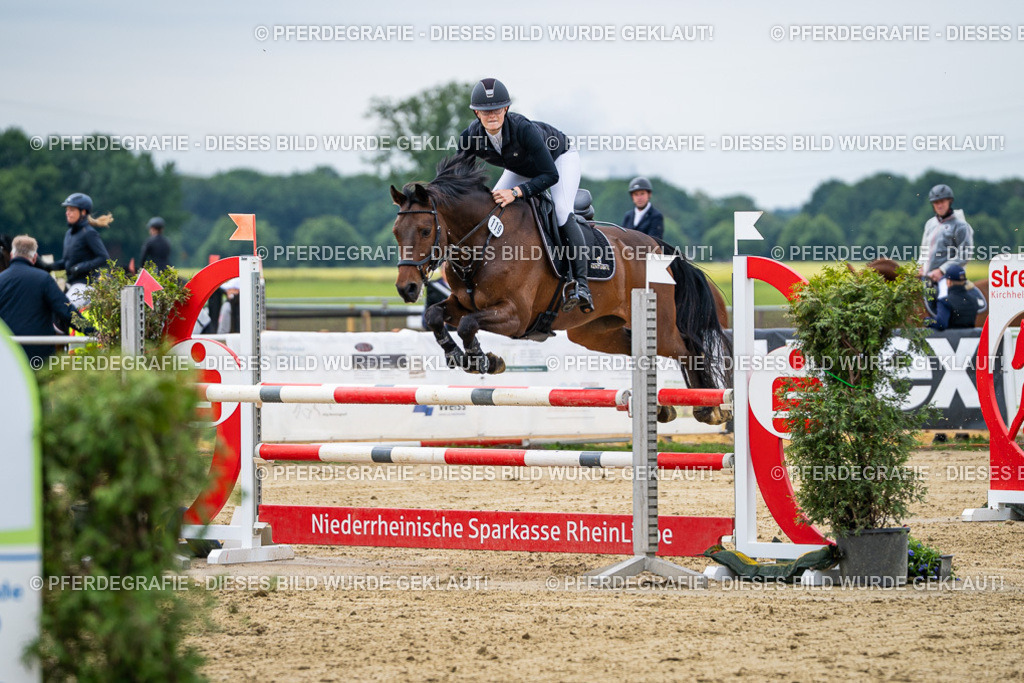 DSC05118 | Pferdegrafie