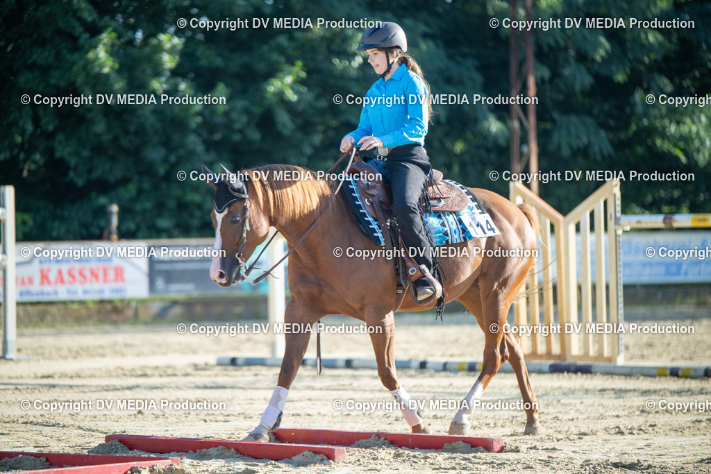 ZS1_0622 | dv-media-shop - Realisiert mit Pictrs.com