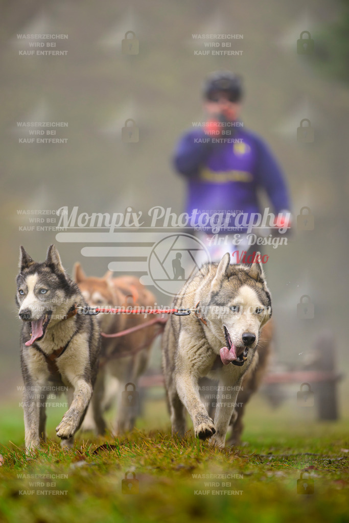 MompixPhotography_Bischwiller2025_Kart-39 | mompixphotography