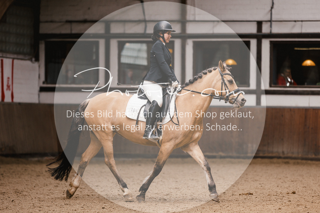 3I6A7585 | Stimmungsvolle Portraits und Reitsportfotografie im Ruhrgebiet und im Münsterland.

Pferdefotografie, Hundefotografie, Tierfotografie, Reportagen, Portraits von Tier und Mensch, Turnierfotografie in Bochum, Recklinghausen, Marl, Haltern am See, Dülmen.. - Realisiert mit Pictrs.com