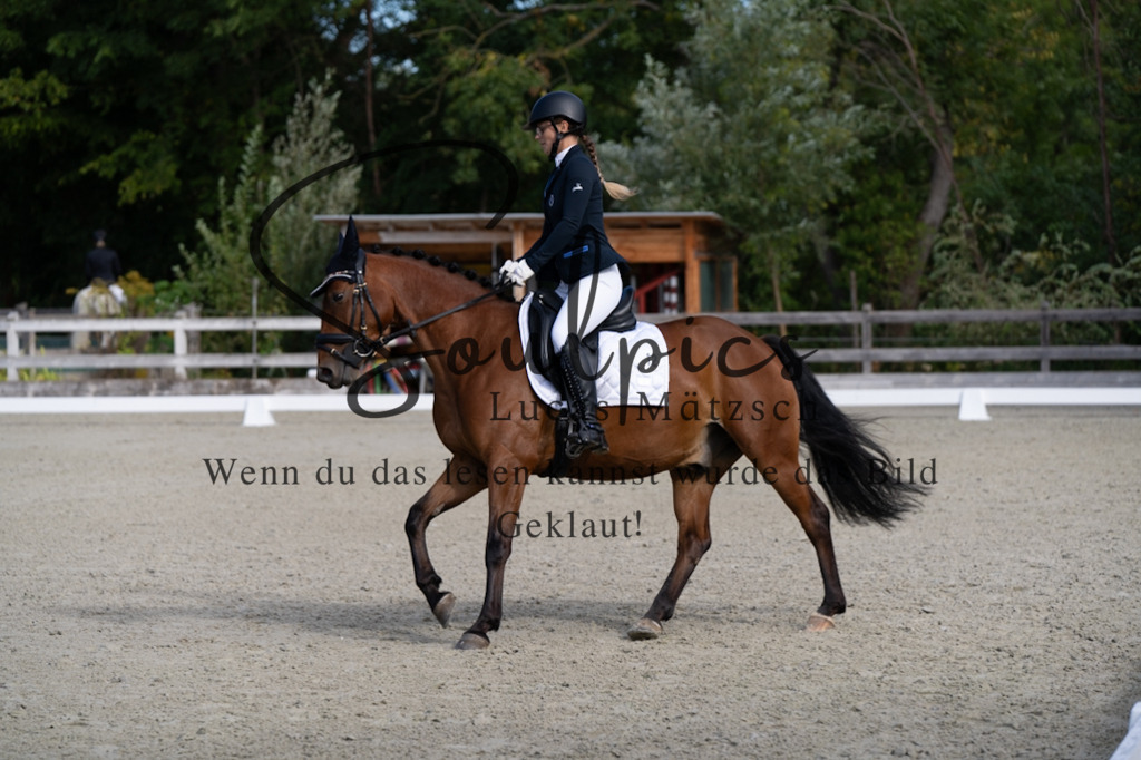 A7V06861 | Turnier/Reitfotograf