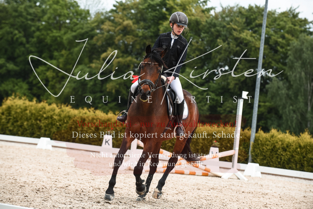 20230518_JK-Röhrsdorf-10-705 | Pferde- und Turnierfotografie in Westsachsen. Pferdeportraits, Auftragszeichnungen und intuitive Kunst.