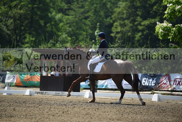 DSC_1642 | equestrian-live-com