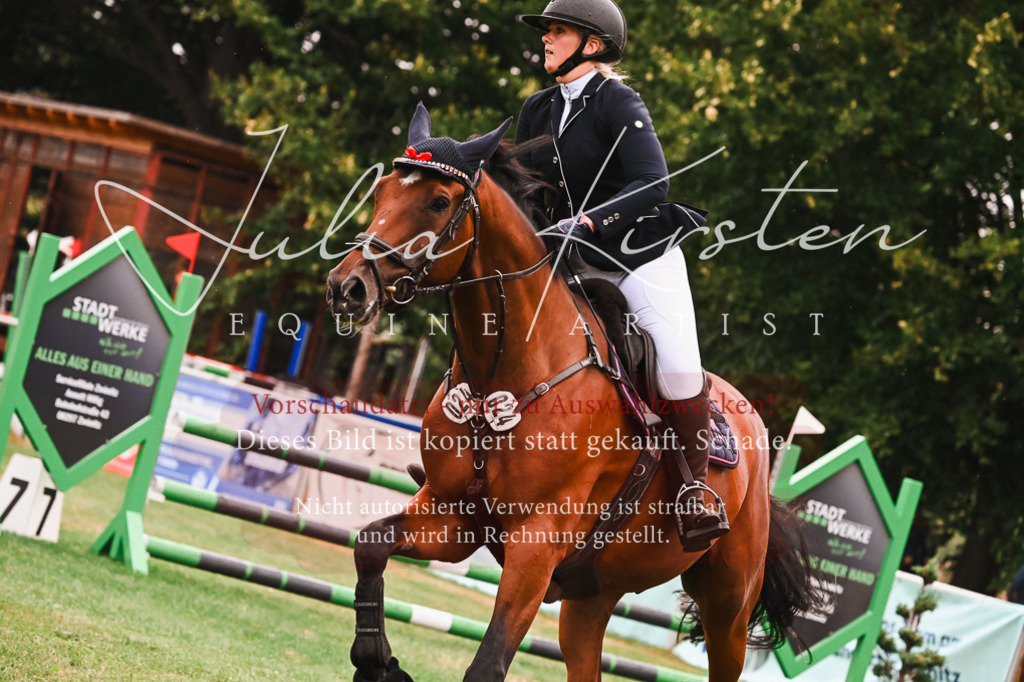 DSC_6485 | Pferde- und Turnierfotografie in Westsachsen. Pferdeportraits, Auftragszeichnungen und intuitive Kunst.