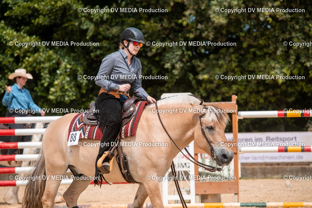 EWP_6310 | dv-media-shop - Realisiert mit Pictrs.com