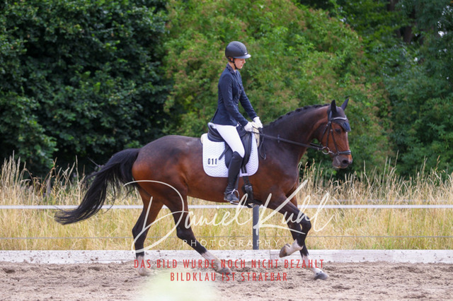 DKP45967 | Turniersportfotografie; Pferdefotografie; Dressurfotografie