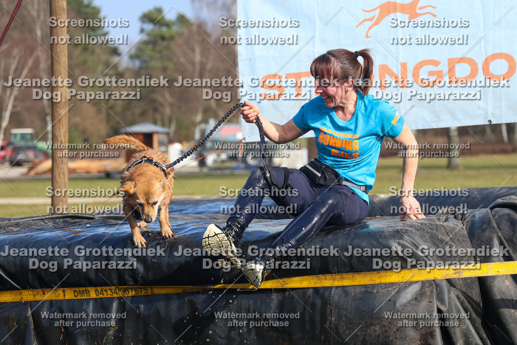 Dog Paparazzi - Strongdog North Mrz26-3246 | Dog Paparazzi Jeanette Grottendiek Fotografie & Videografie - Realisiert mit Pictrs.com