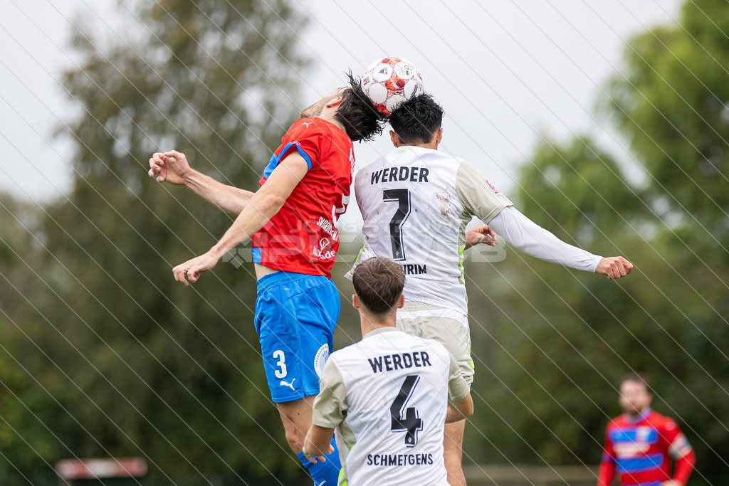 20250921_Picselweb-Fotografie_Meta_1R3_1707 | SV Drochtersen Assel - Werder Bremen II 3:2 - Realisiert mit Pictrs.com
