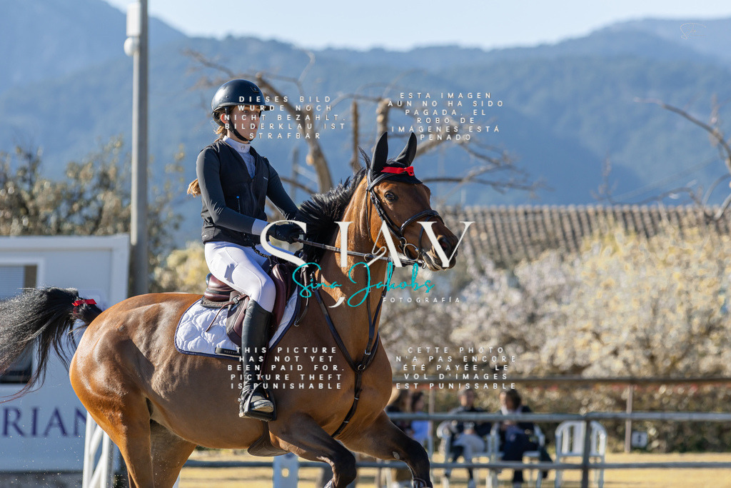 IMG_1784 | s-jay-photography - Realisiert mit Pictrs.com