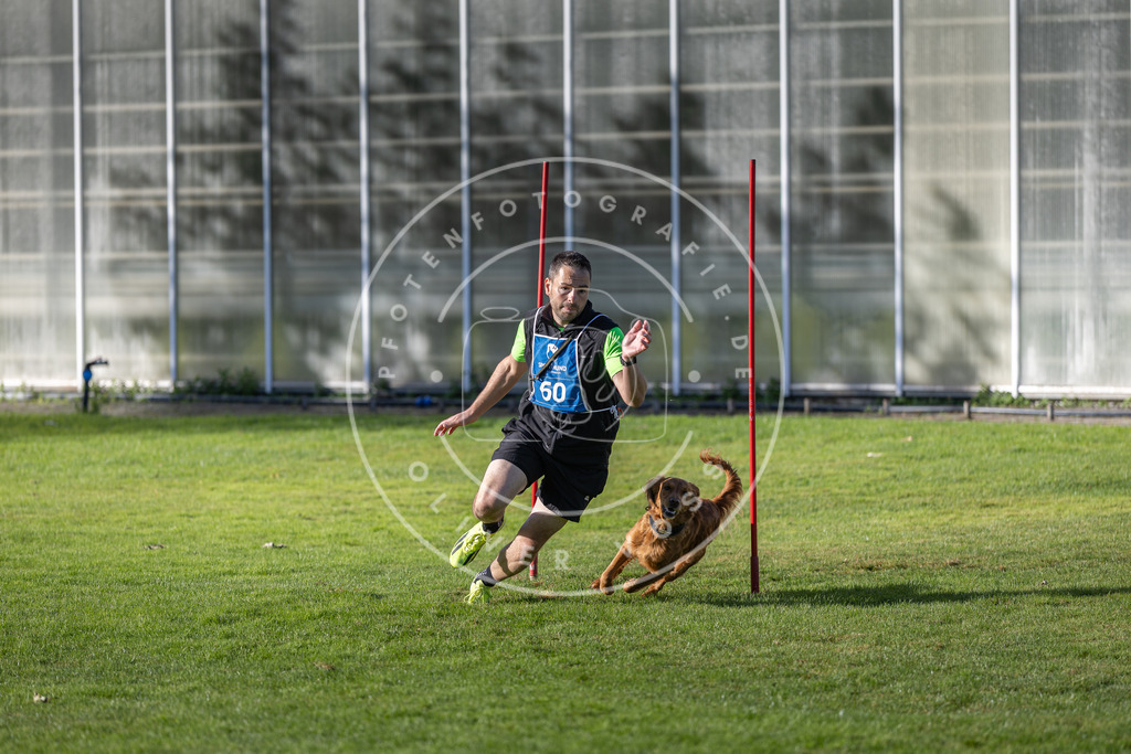 Pfotenfotografie.de_DV3A3412 | Hundefotografie, Tierfotograf, Pfotenfotografie, Fotoshooting Hund, Hunde Portrait, Hundesport, Hundeportraits, Heideshooting, Hunde, Sportfotograf, Hundefotograf, Turnierhundsport, THS, canicross - Realisiert mit Pictrs.com