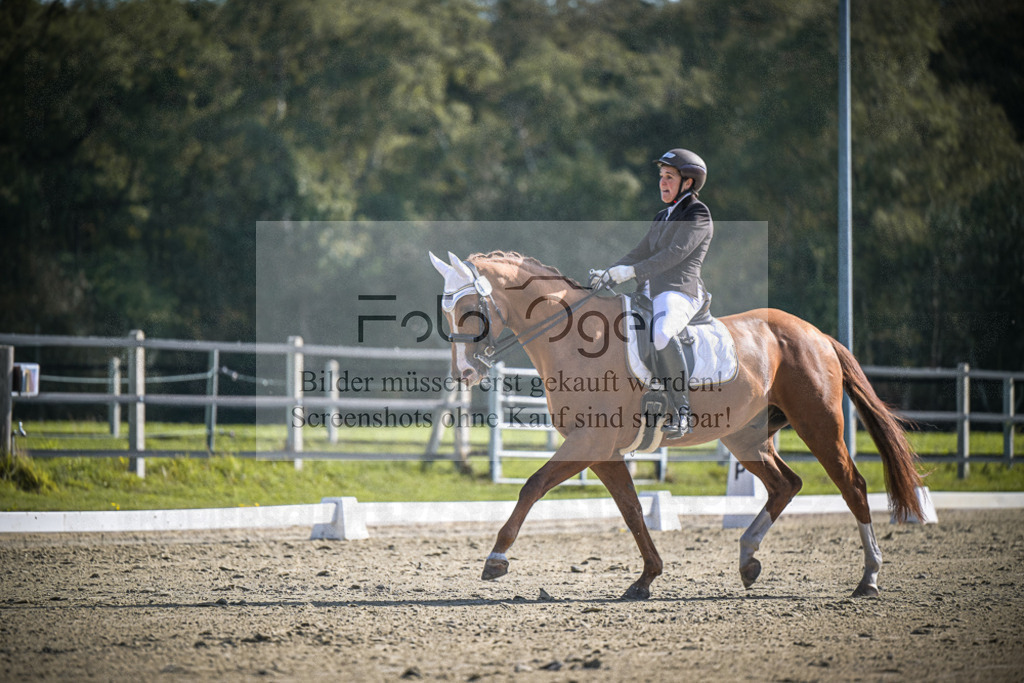DOS_1615 | Entdecke hochwertige Reitturnierfotos von Foto Oger. Professionell, emotional und authentisch – jetzt Lieblingsmomente im Shop bestellen.Deutschlandweite Turnierfotografie. - Realisiert mit Pictrs.com