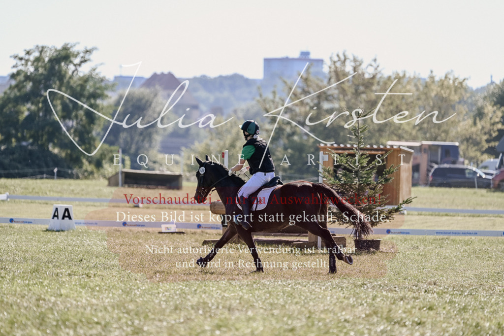 DSC_3635 | Pferde- und Turnierfotografie in Westsachsen. Pferdeportraits, Auftragszeichnungen und intuitive Kunst.