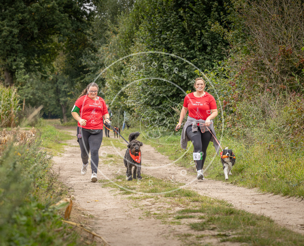 Pfotenfotografie_DV3A6585 | Hundefotografie, Tierfotograf, Pfotenfotografie, Fotoshooting Hund, Hunde Portrait, Hundesport, Hundeportraits, Heideshooting, Hunde, Sportfotograf, Hundefotograf, Turnierhundsport, THS,  - Realisiert mit Pictrs.com