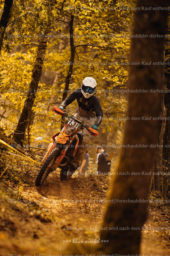 E68A4032 | blick_win_kel