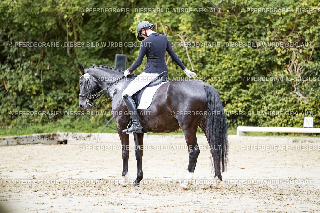 DSC05484 | Pferdegrafie