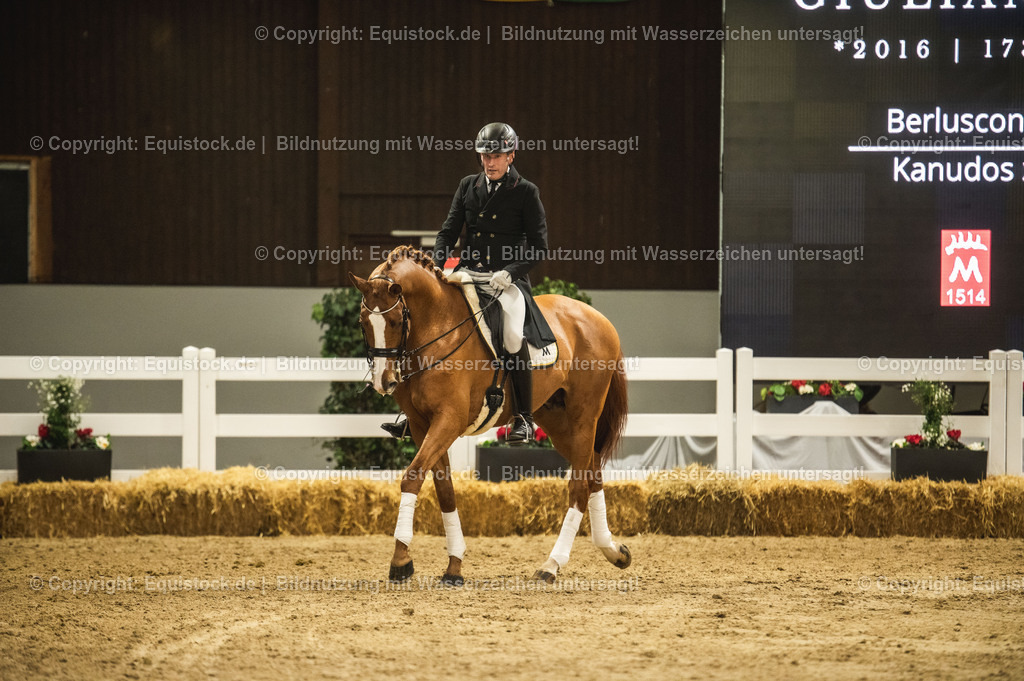 20240302_Hengstvorstellung_Marbach_TOMsPiC_0921-2 | equistock
