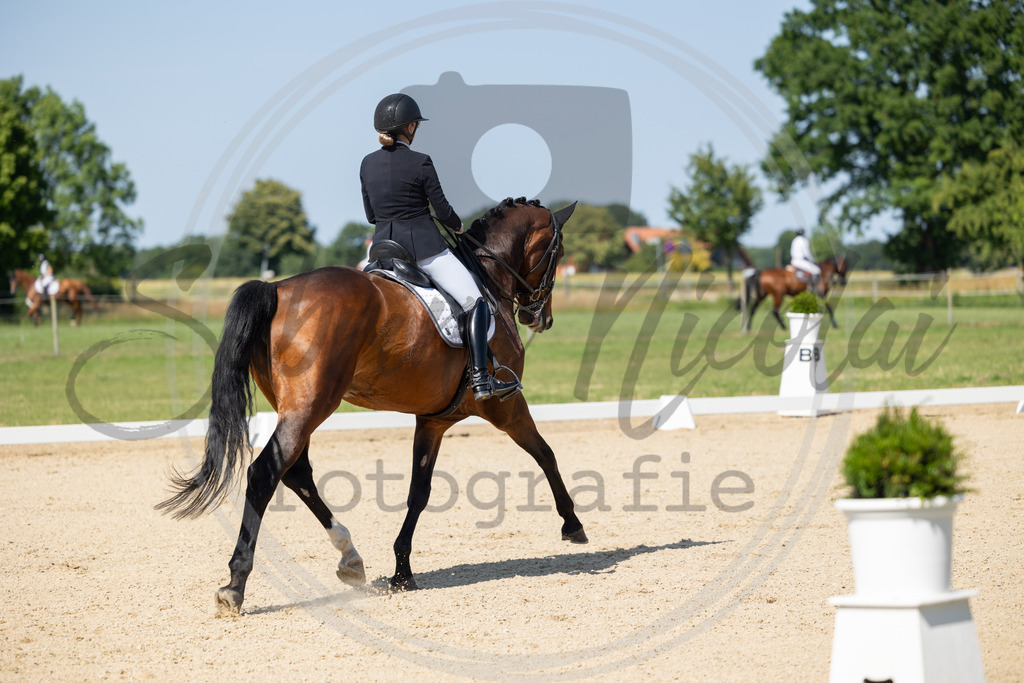 994A3018 | sabrinanicolaifotografie - Realisiert mit Pictrs.com