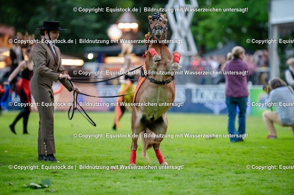 20250606_Lange-Pferdenacht_0637 | Foto: Thomas Hartig