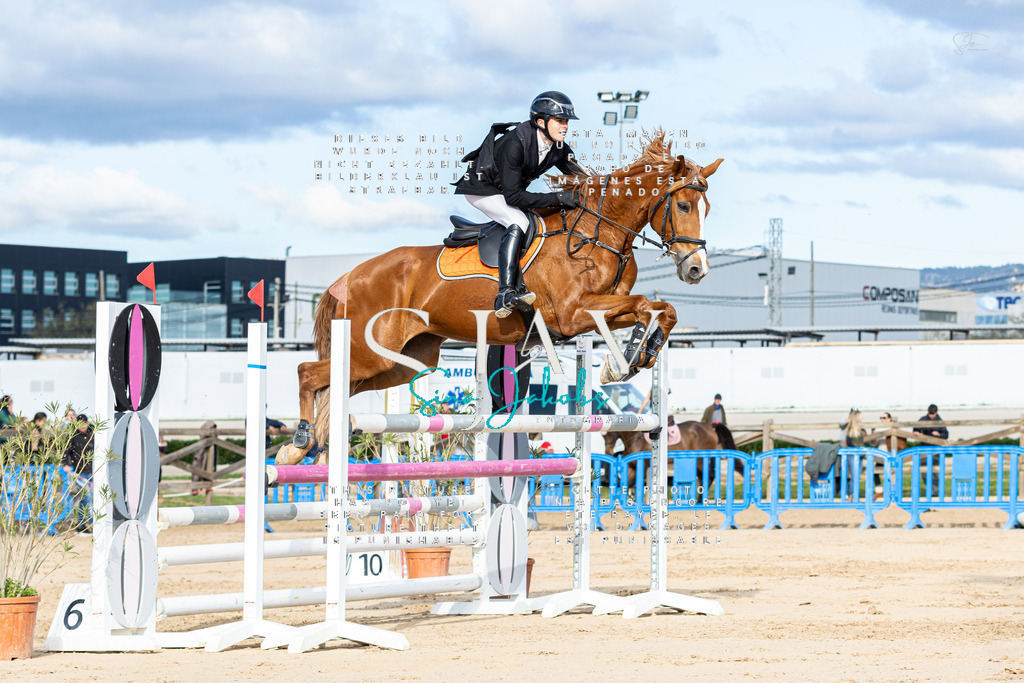 IMG_2109 | s-jay-photography - Realisiert mit Pictrs.com