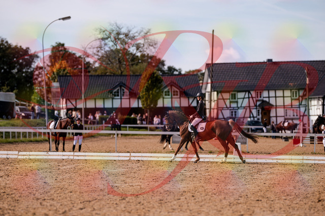 2026_10_03_Siefer-Hof_133117_Z81_84620603 | Professionelle Reitsport-, Turnier- und Eventfotografie von Robert Broda. Galerien mit ausgewählten und bearbeiteten Bildern direkt online ansehen und bestellen.