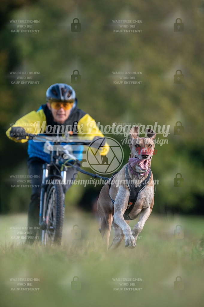 CDLBDB_15_10_2023_Dimanche-274 | PayLife