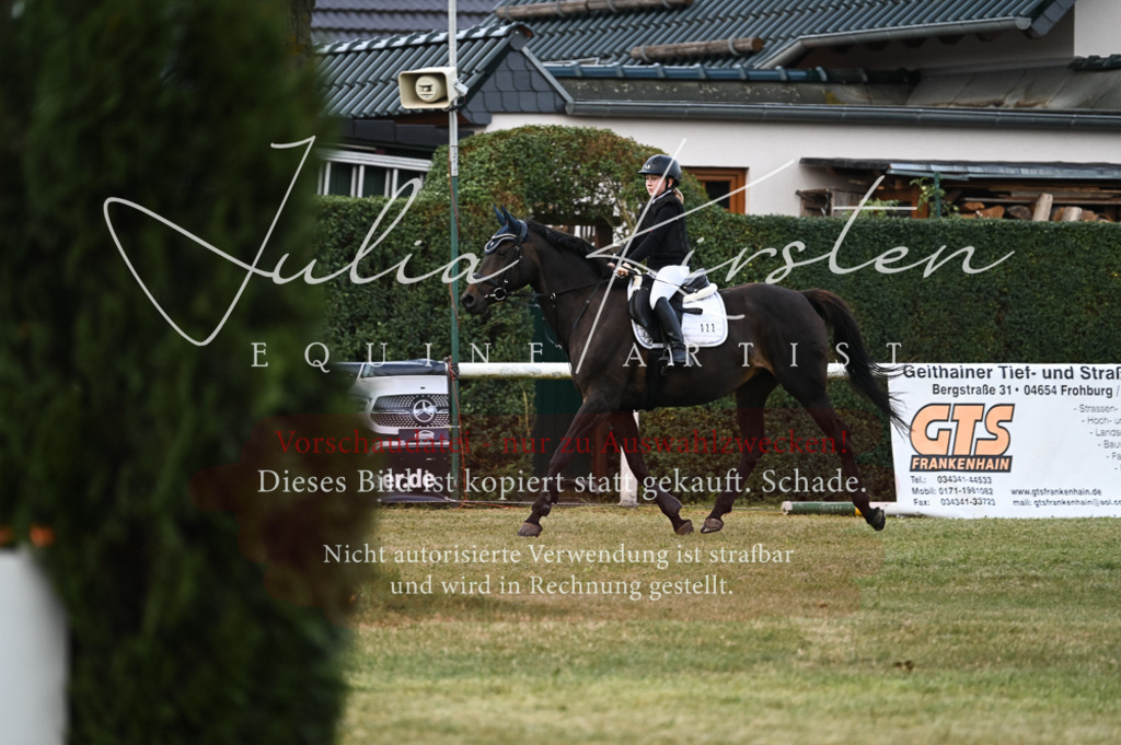 DSC_5571 | Pferde- und Turnierfotografie in Westsachsen. Pferdeportraits, Auftragszeichnungen und intuitive Kunst.