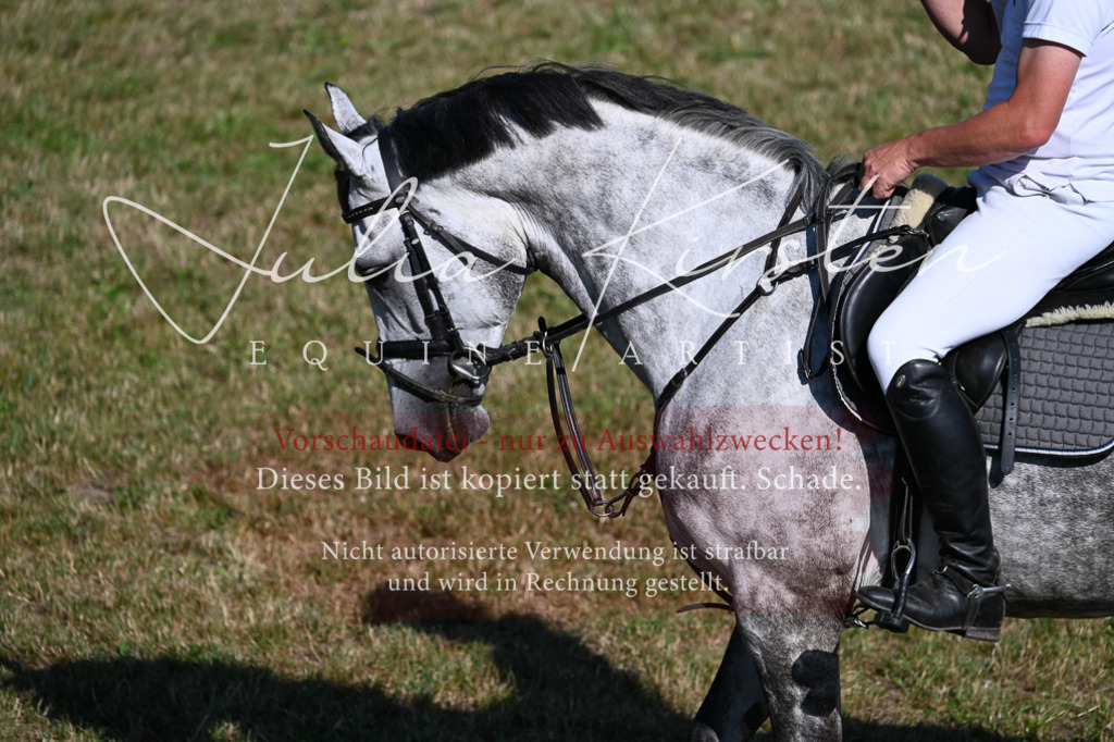 DSC_2223 | Pferde- und Turnierfotografie in Westsachsen. Pferdeportraits, Auftragszeichnungen und intuitive Kunst.