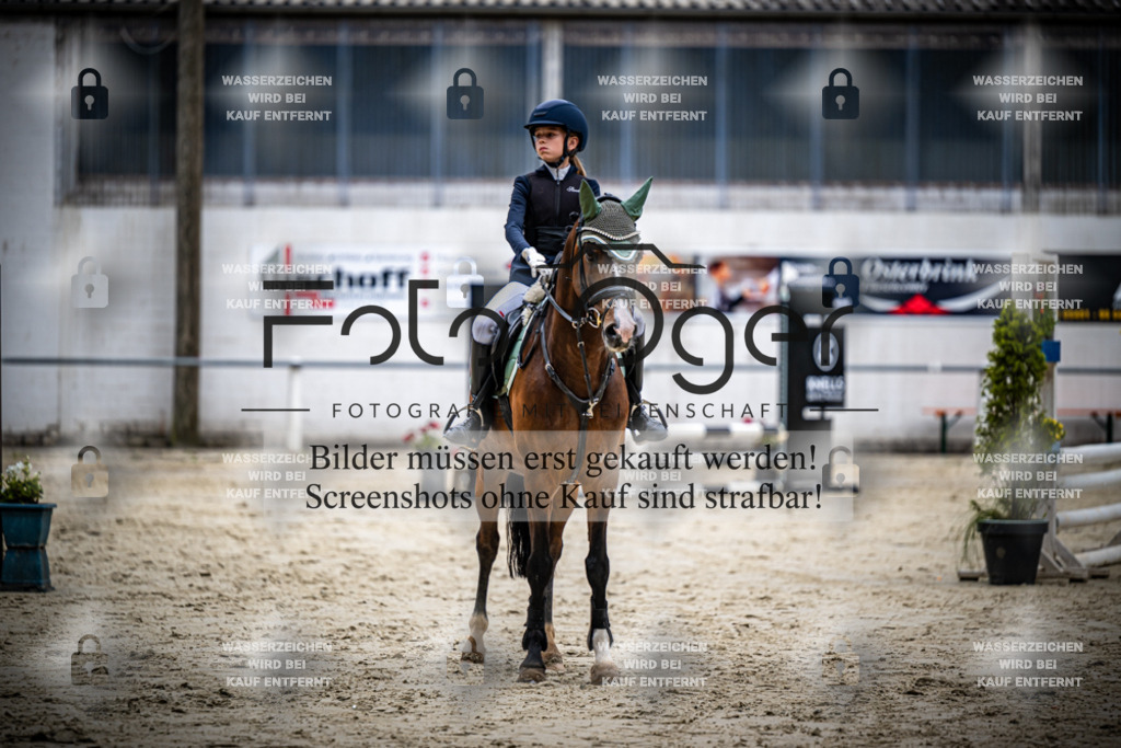 Turnier Laggenbeck 2026-15-0156 | Entdecke hochwertige Reitturnierfotos von Foto Oger. Professionell, emotional und authentisch – jetzt Lieblingsmomente im Shop bestellen.Deutschlandweite Turnierfotografie. - Realisiert mit Pictrs.com