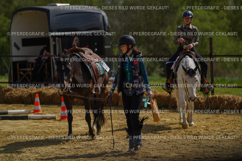 DSC04819 | Pferdegrafie