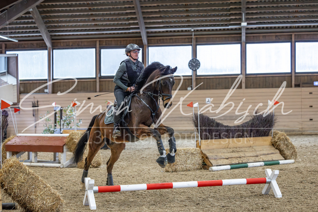 20260222-_3LI1512 | Tierfotografie Pferde, Hunde, Katzen, Haustiere.
Turnierfotografie Reitturniere, Reiten, Springreiten, Dressur in Hanau, dem Main-Kinzig-Kreis und dem Rhein-Main- Gebiet um Frankfurt