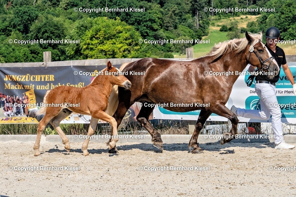 A1S09638 | foto-team-bernhard - Realisiert mit Pictrs.com