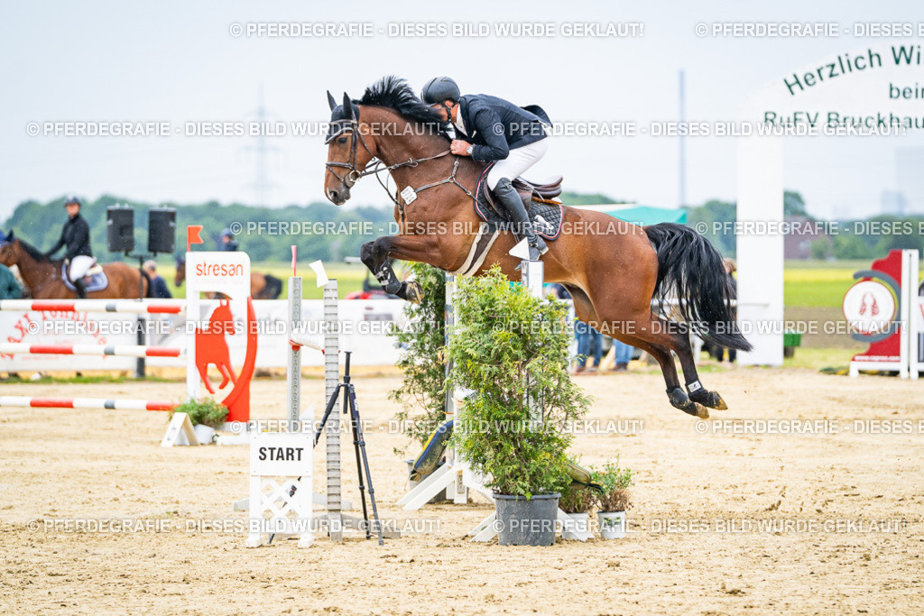 DSC07076 | Pferdegrafie