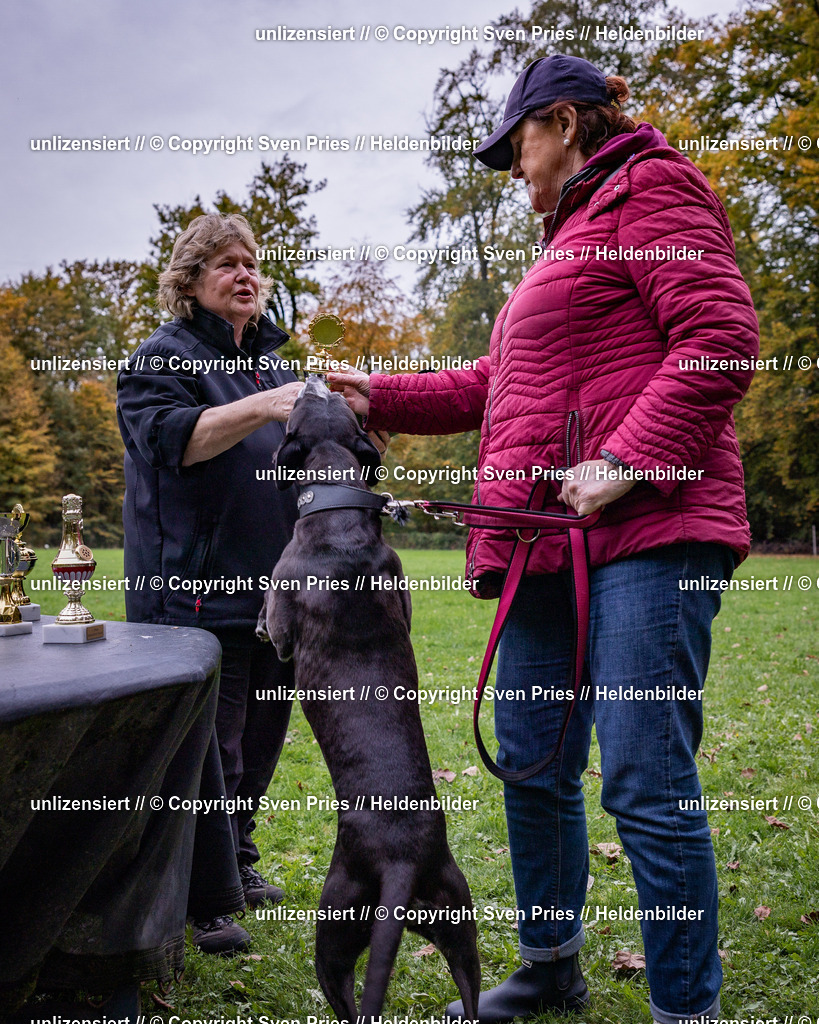 Sven Pries | 2024-10-19 - Hunderennen Ober-Grombach - Realisiert mit Pictrs.com