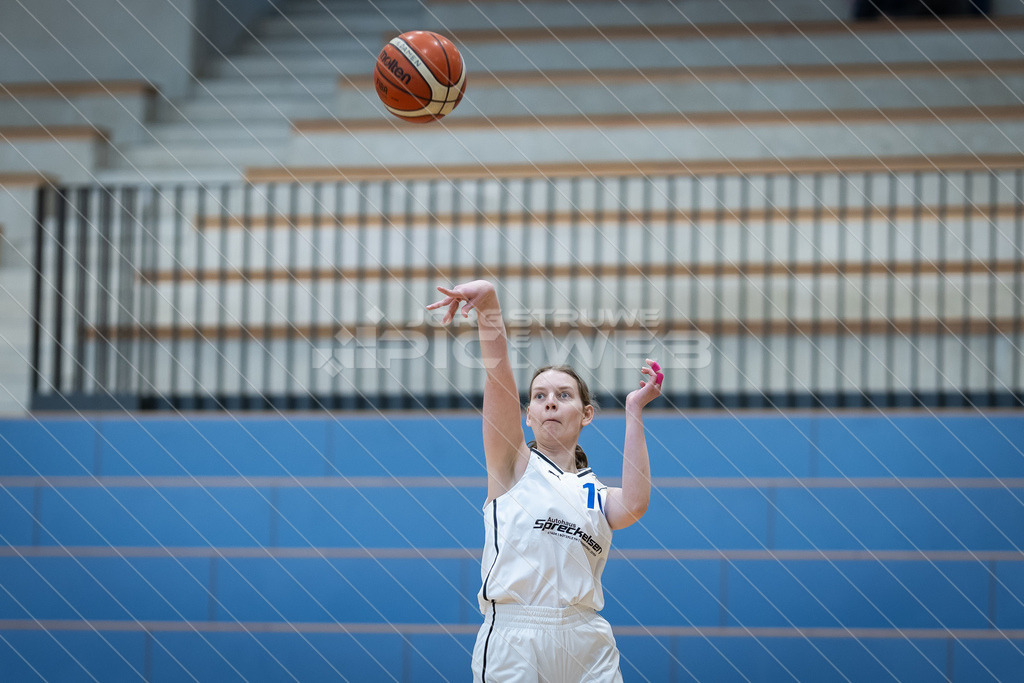 20251102_Picselweb-Fotografie_2R3_1331 | Dein Fotograf aus dem Landkreis Stade für Sport und Events - Realisiert mit Pictrs.com