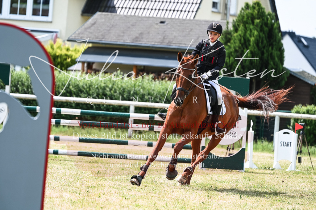 DSC_8994 | Pferde- und Turnierfotografie in Westsachsen. Pferdeportraits, Auftragszeichnungen und intuitive Kunst.
