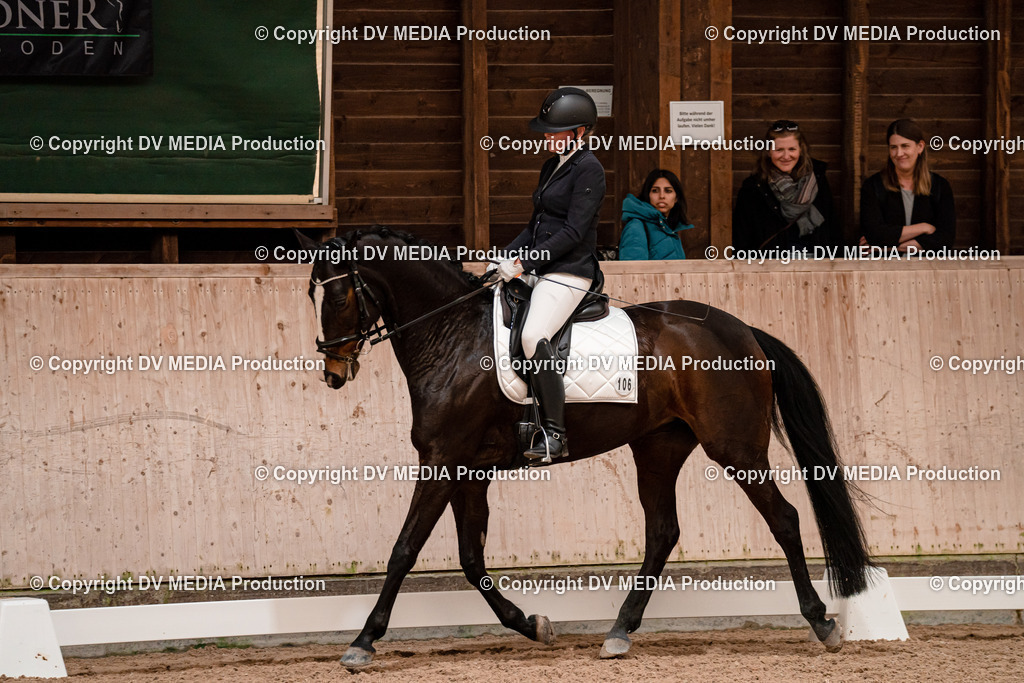 Dressur Tag 2-288 | dv-media-shop - Realisiert mit Pictrs.com