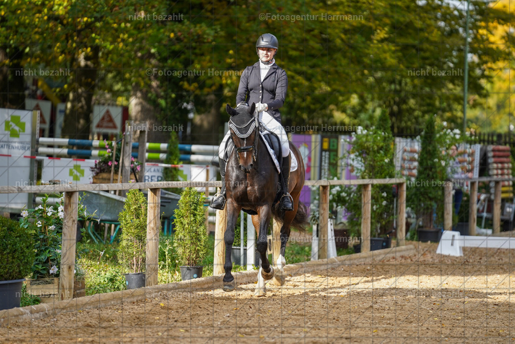 20221007-FAH09967 | Diessen am Ammersee, 2022, Dressur- und Springturnier, Reitsportbilder, Turnierfotografen Bayern, Pferdefotografen, Fotoagentur Herrmann, Turnierbilder