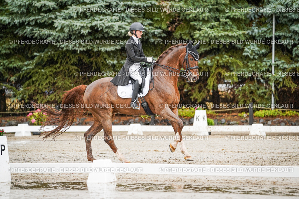 DSC09363 | Pferdegrafie