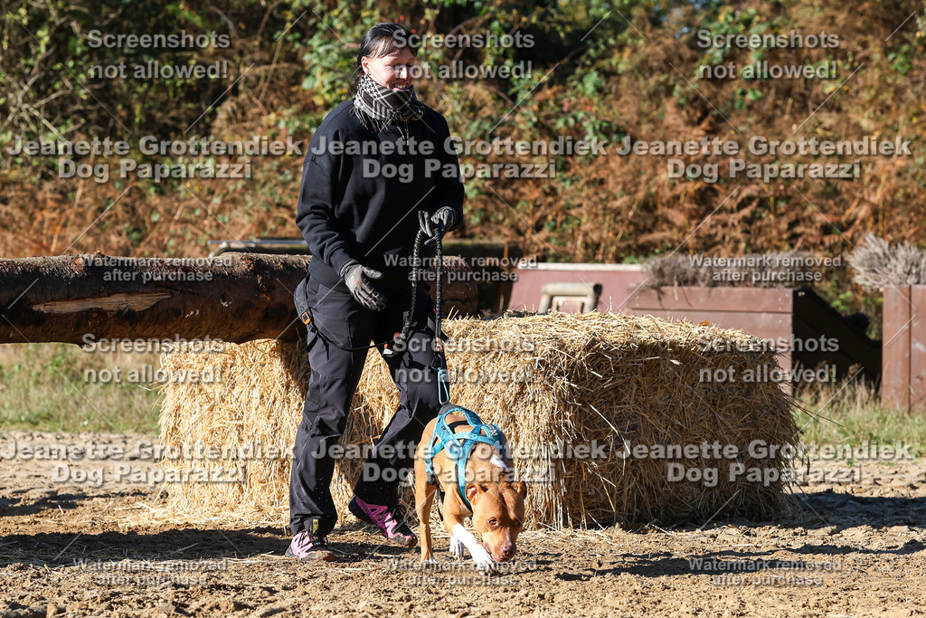 Dog Paparazzi - Strongdog 10-25-2085 | Dog Paparazzi Jeanette Grottendiek Fotografie & Videografie - Realisiert mit Pictrs.com
