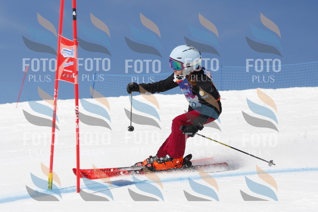 _W1G1853 | holidayphoto