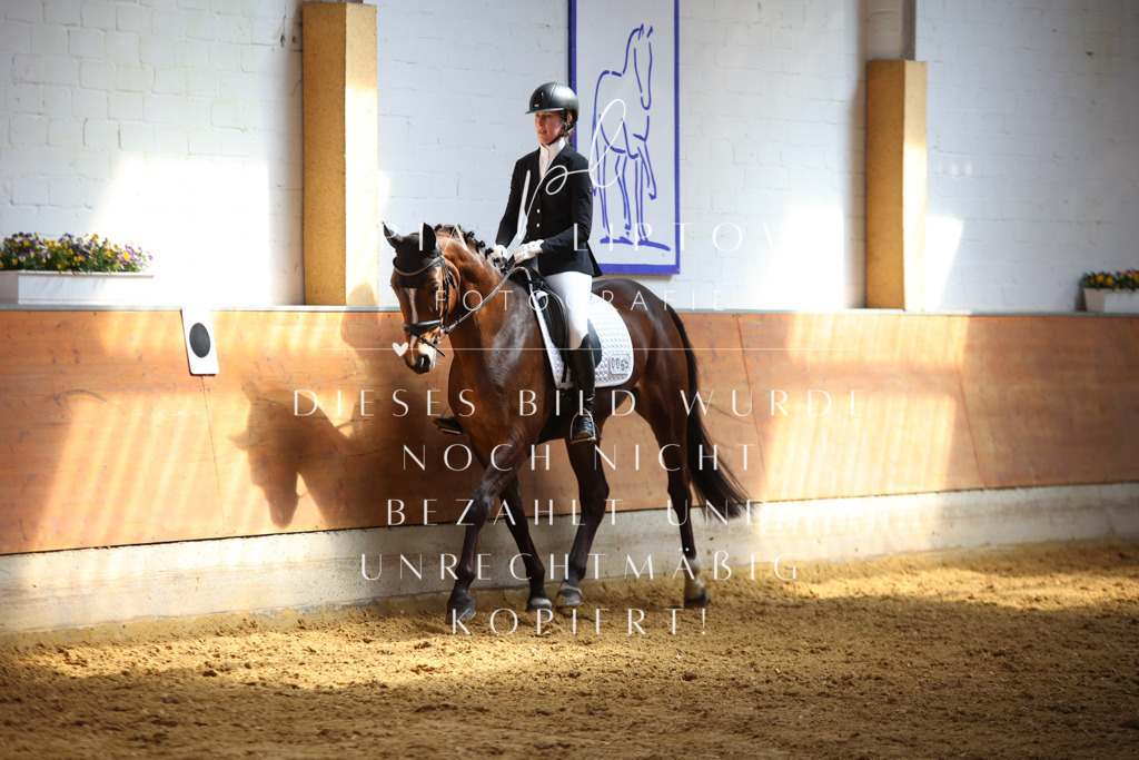 IMGT7712 | pl-fotografie