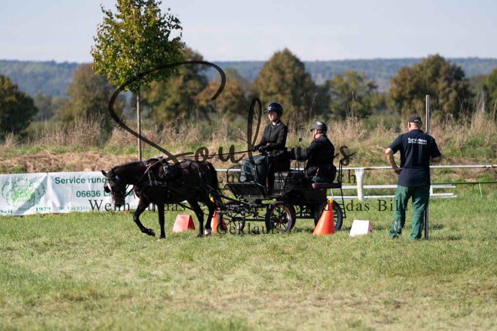 A7V04367 | Pferdefotograf