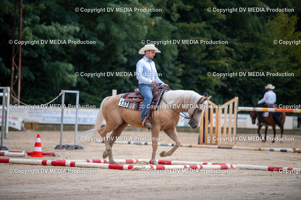 ZS2_3777 | dv-media-shop - Realisiert mit Pictrs.com